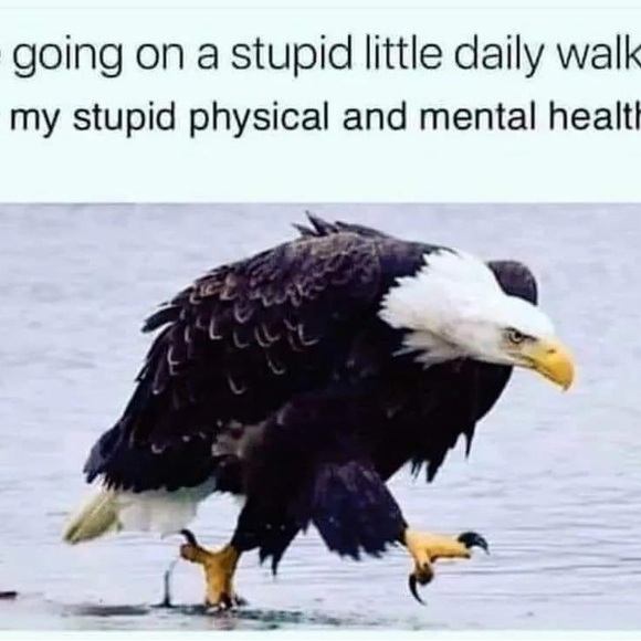 Meet your Posher, Kelly - Picture 10 of 11